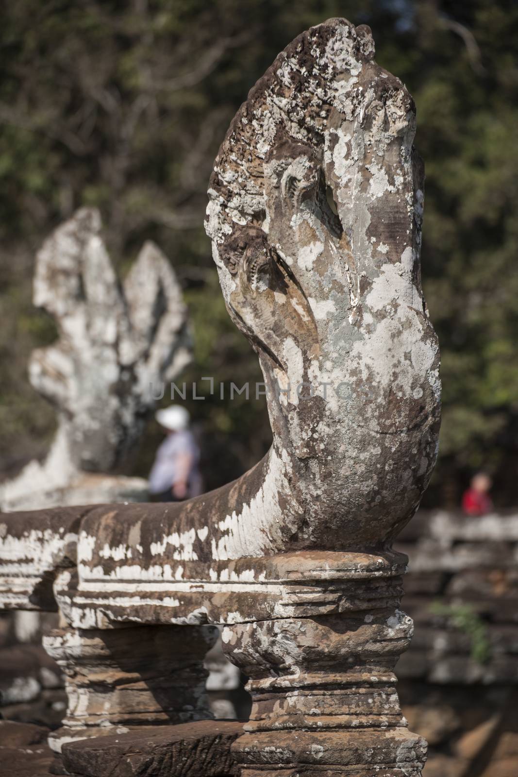Sneak sculpture in Ankor Thom. Cambodia