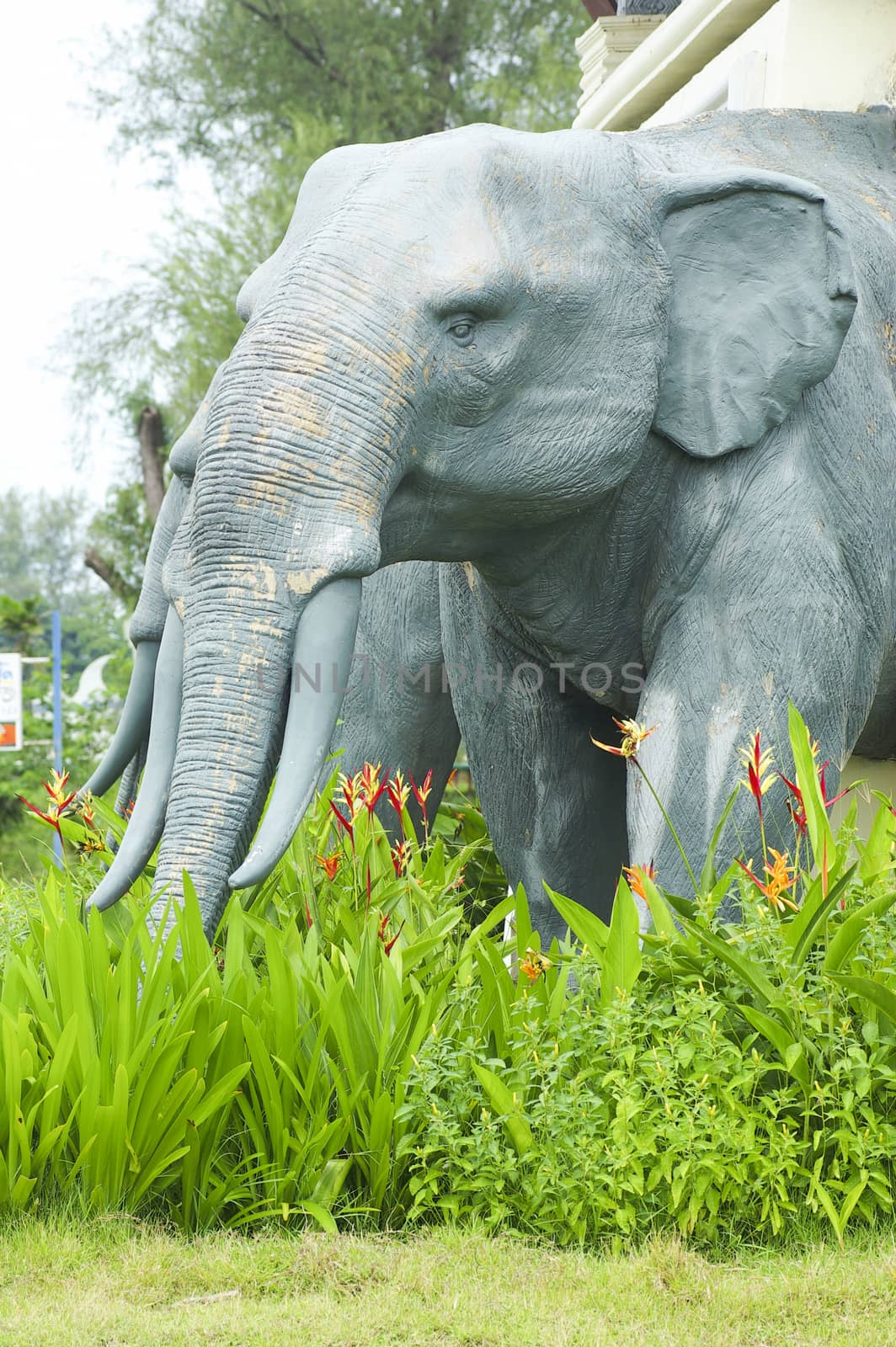 Elephant sculpture