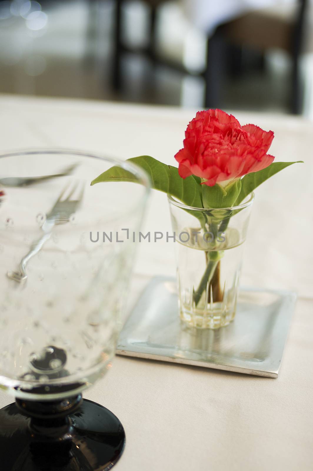 Dinning table set with red flower