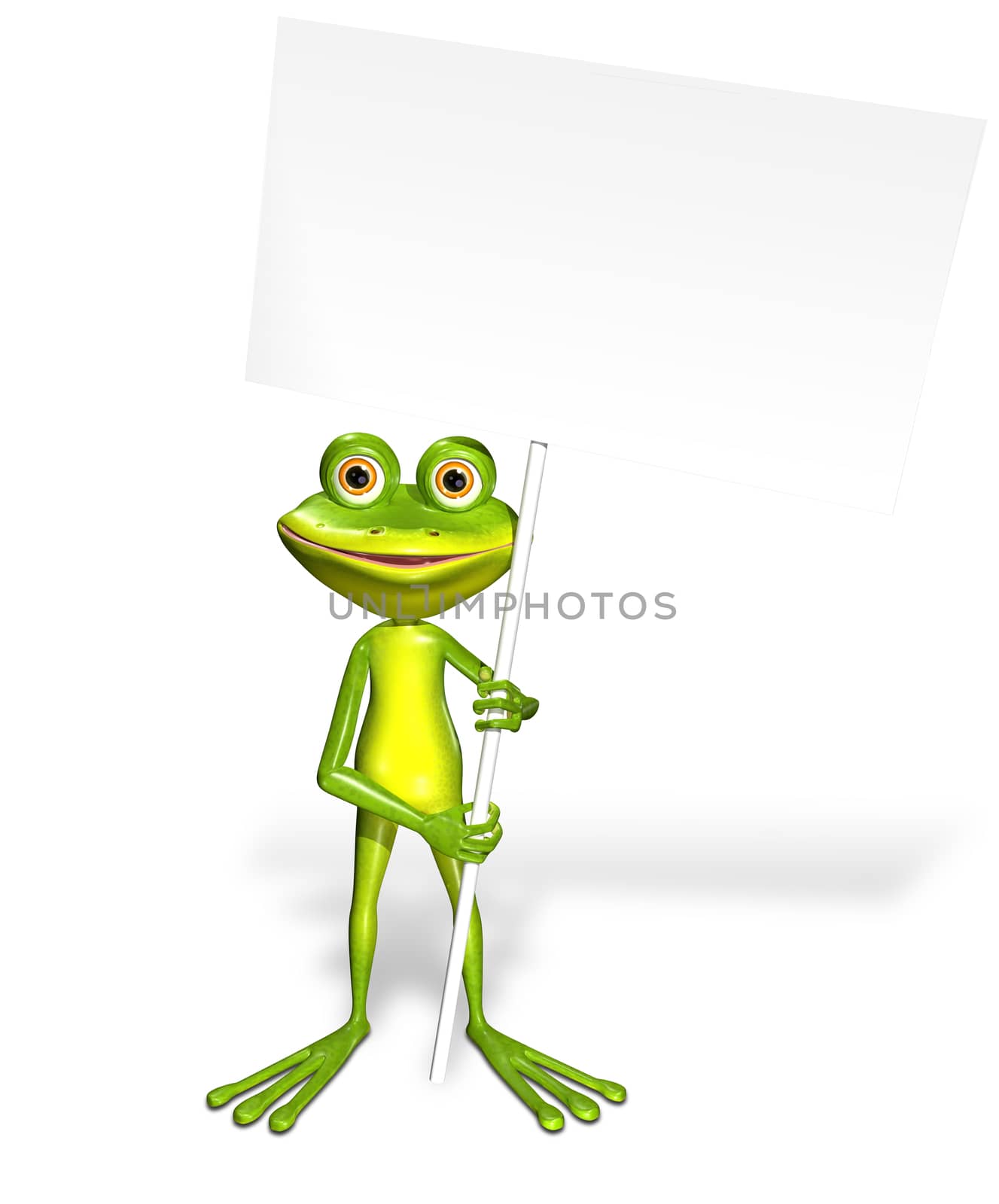 Frog and white background by brux