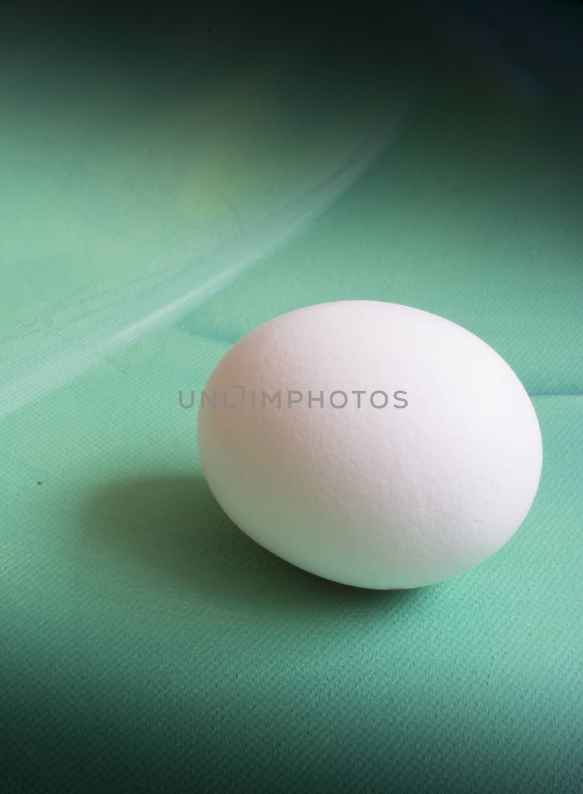 White egg on green canvas, vertical image.