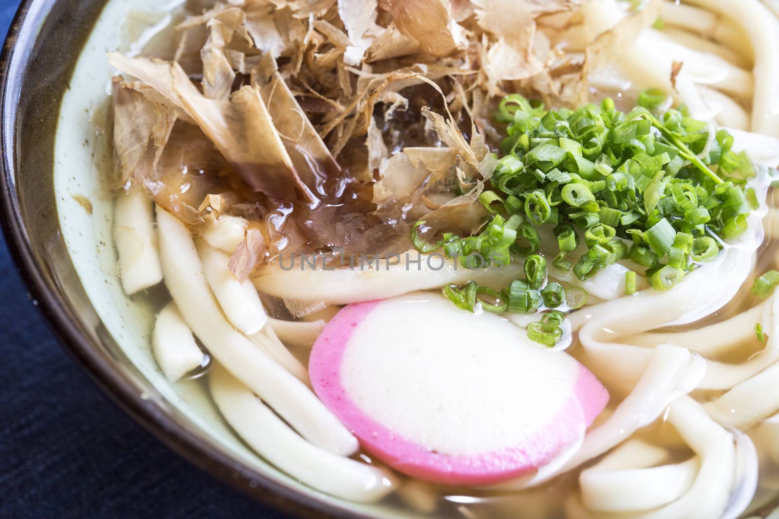 Udon Japanese Noodles
