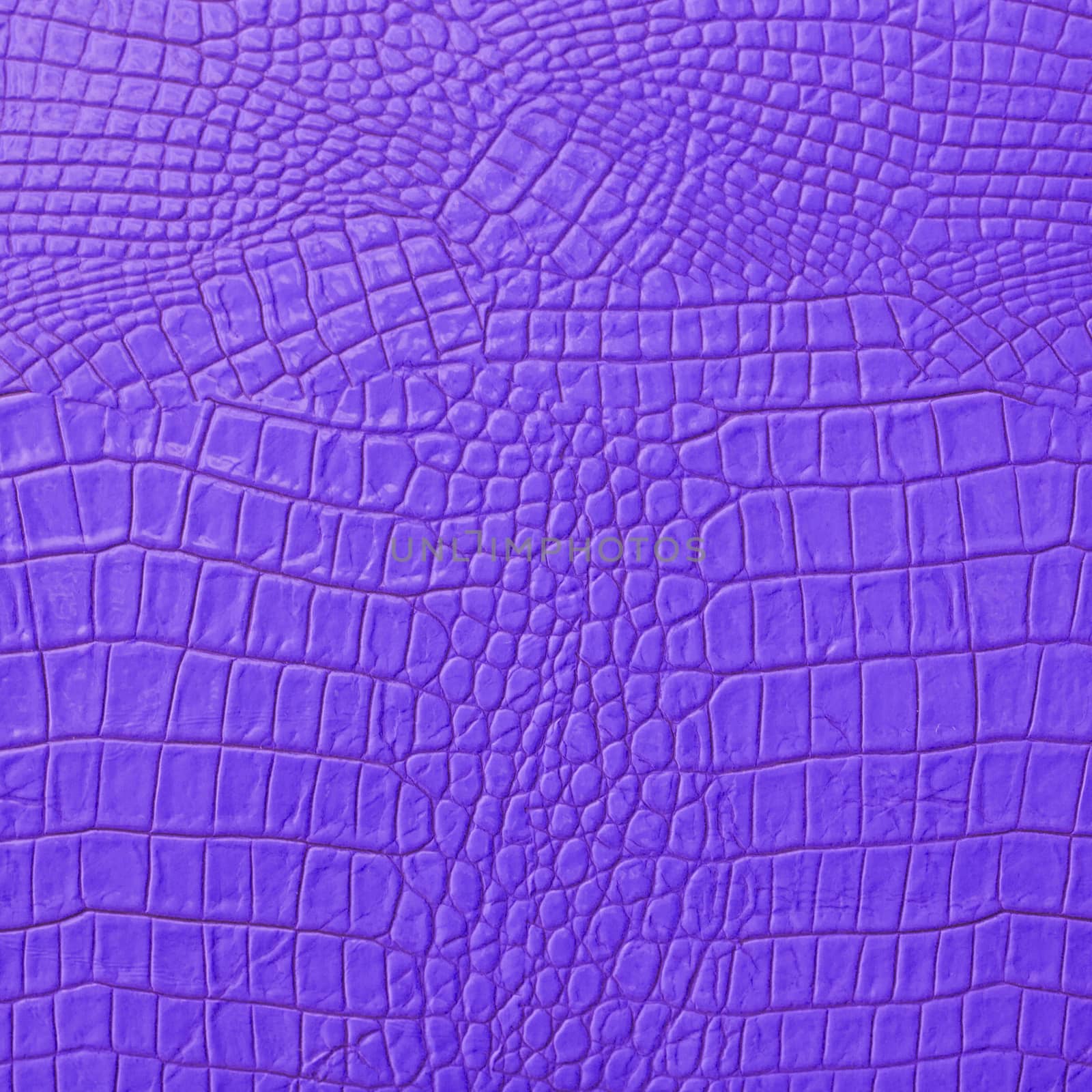 Purple Leather by 2nix