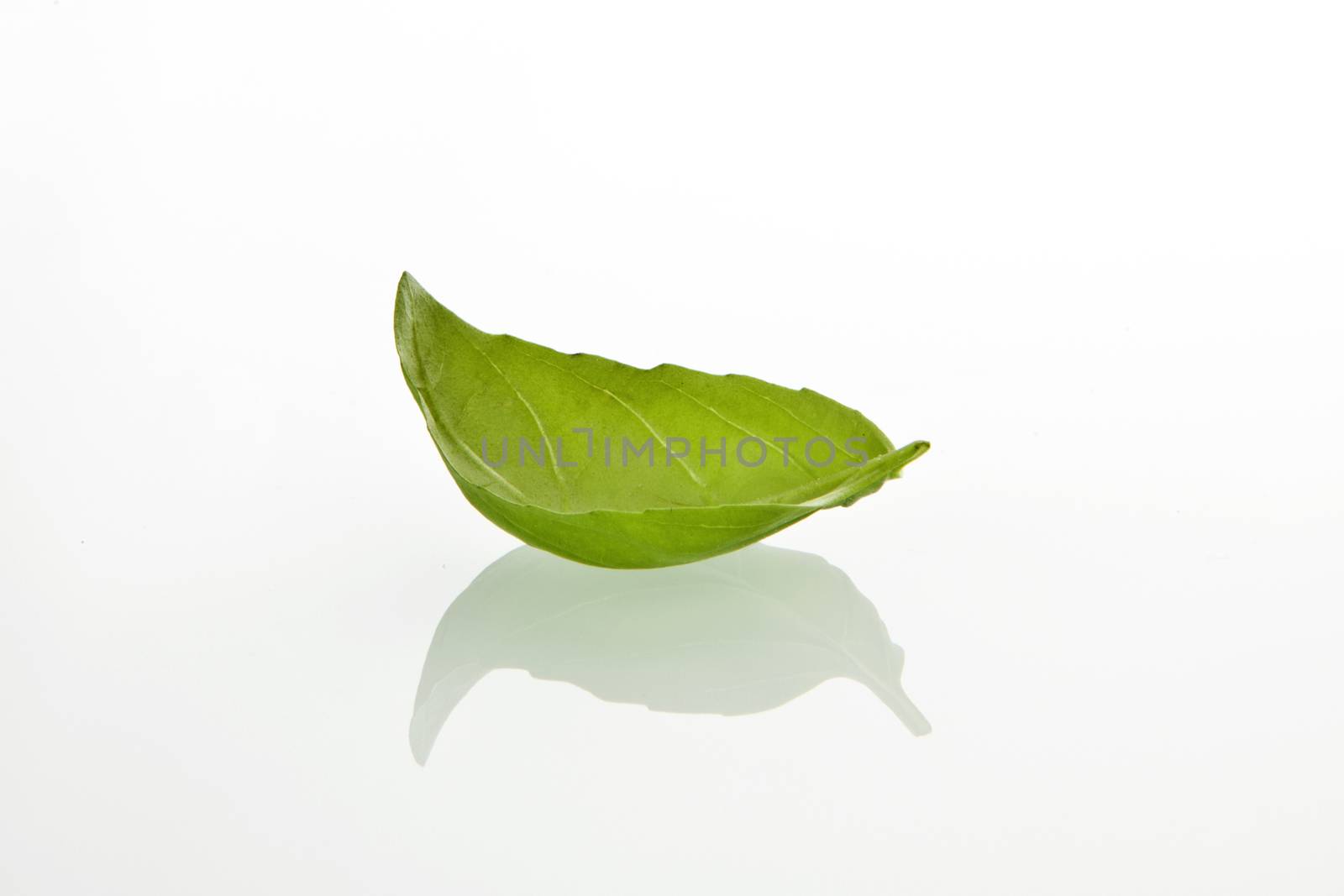 Basilicum leaf on white background