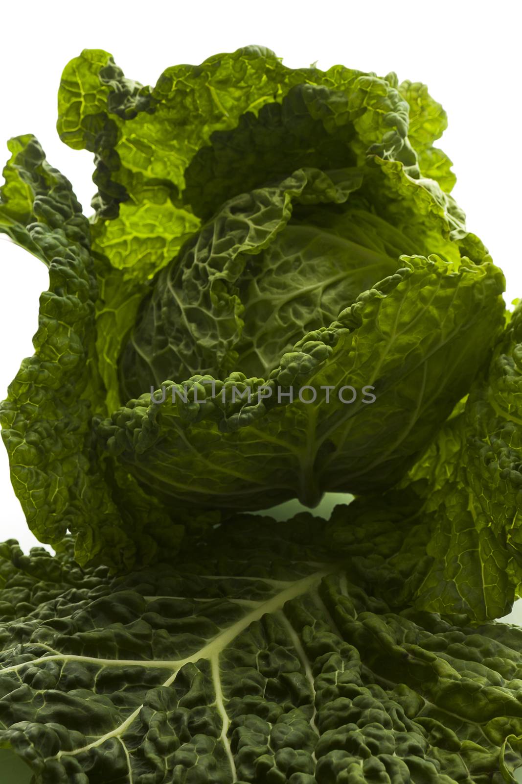 Fresh green cabbage isolated on white background.
