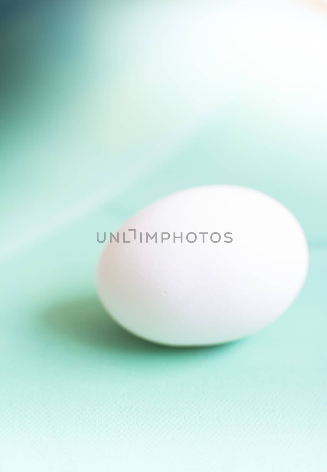 Soft white dreamy egg abstract on green background.