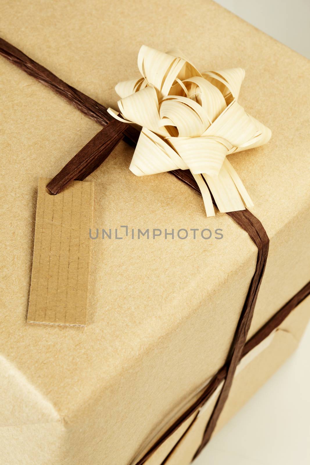 Beautifully naturally wrapped gift with label and copyspace.