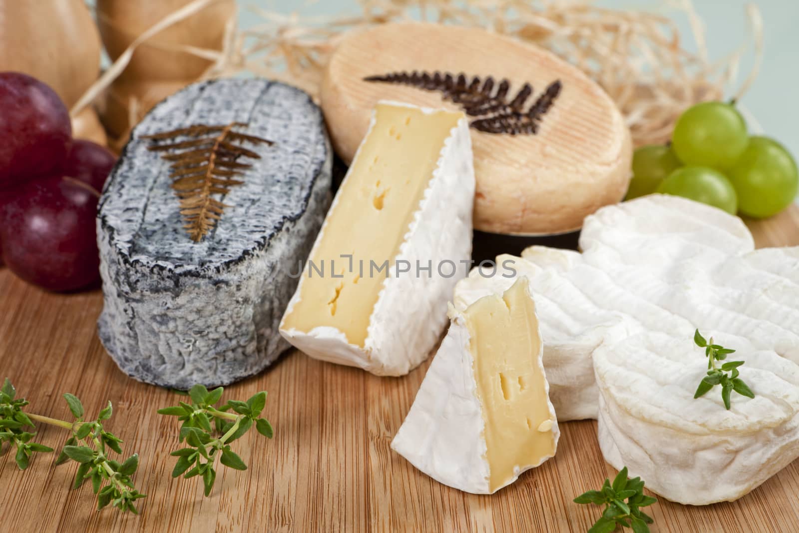 Luxurious cheese variation. by eskymaks