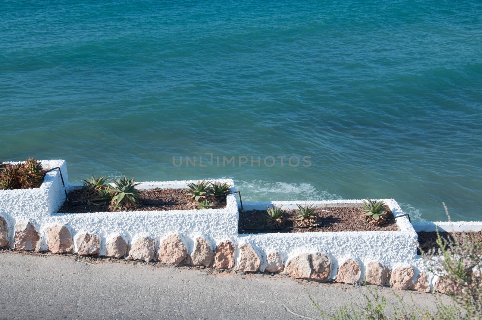 Planting pots on a walking path by the Mediterranean sea.