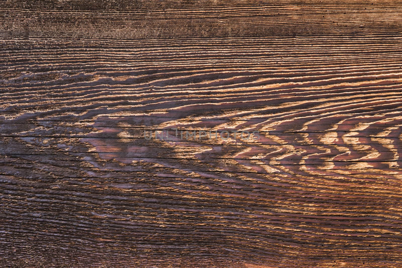 Old wood texture background