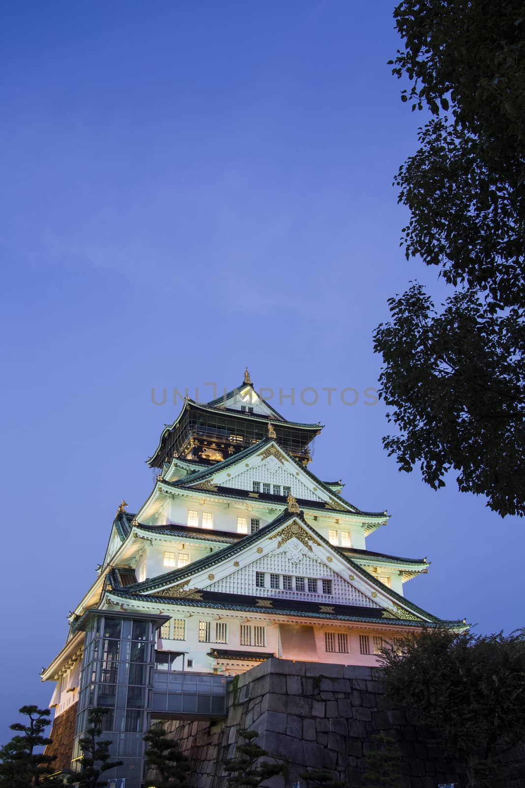 Osaka castle. Japan