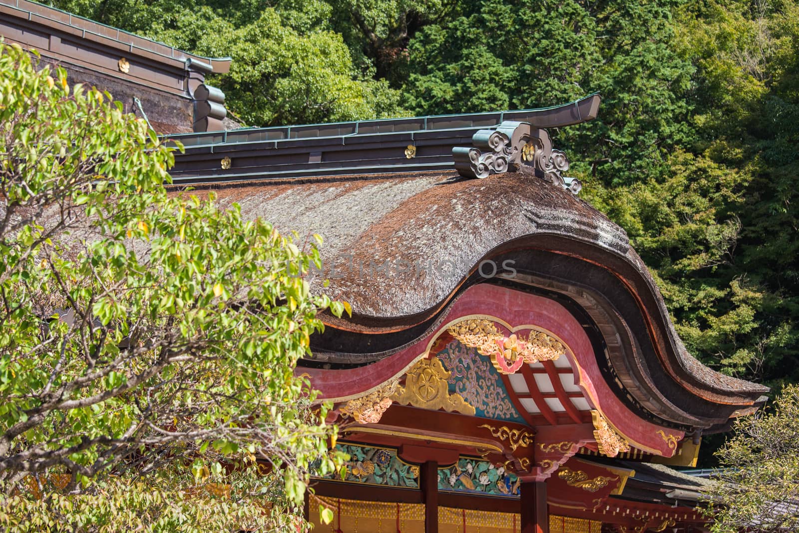 Dazaifu Tenmangu Shrine detail