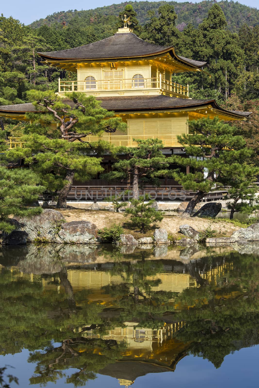 Kinkakuji the golden pavillion. Kyoto. Japan