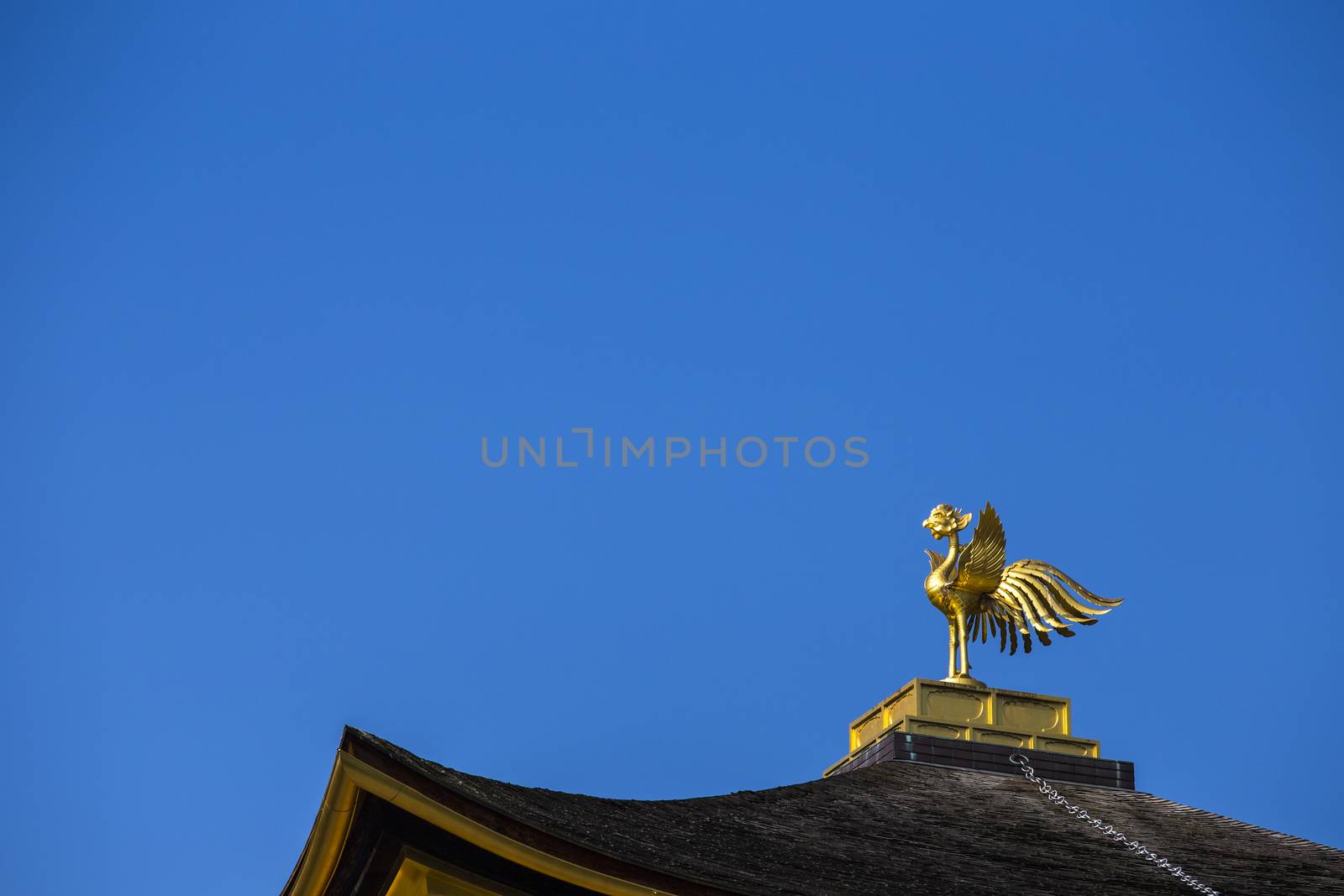 Phoenix on top of Kinkakuji the golden pavillion. Kyoto. Japan