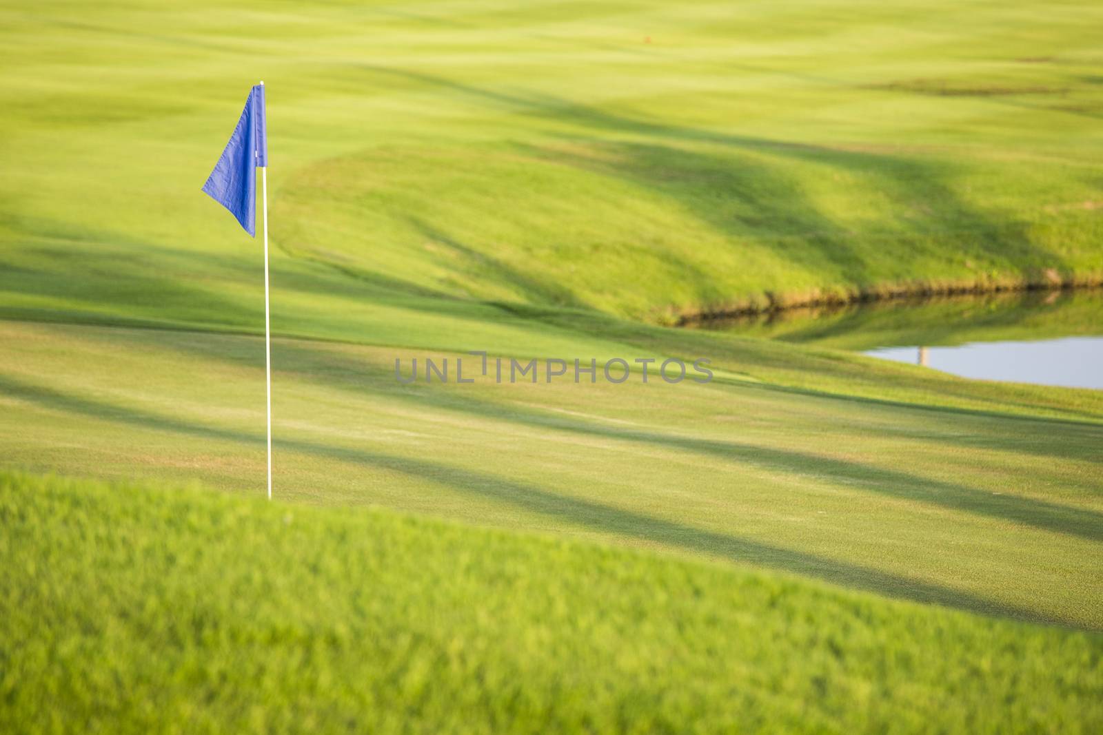 Green field golf with flag