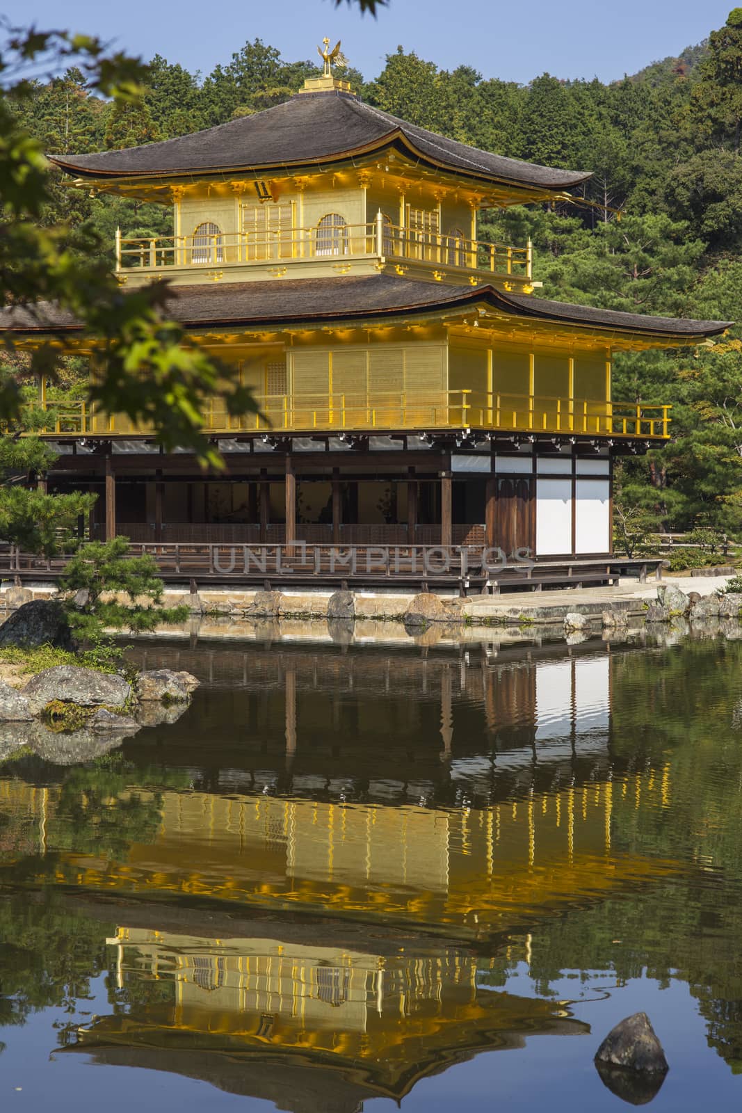 Kinkakuji the golden pavillion. Kyoto. Japan