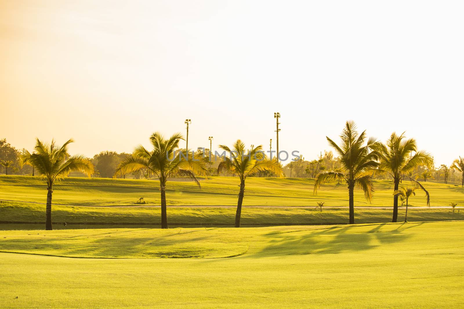 Golf green field garden with trees