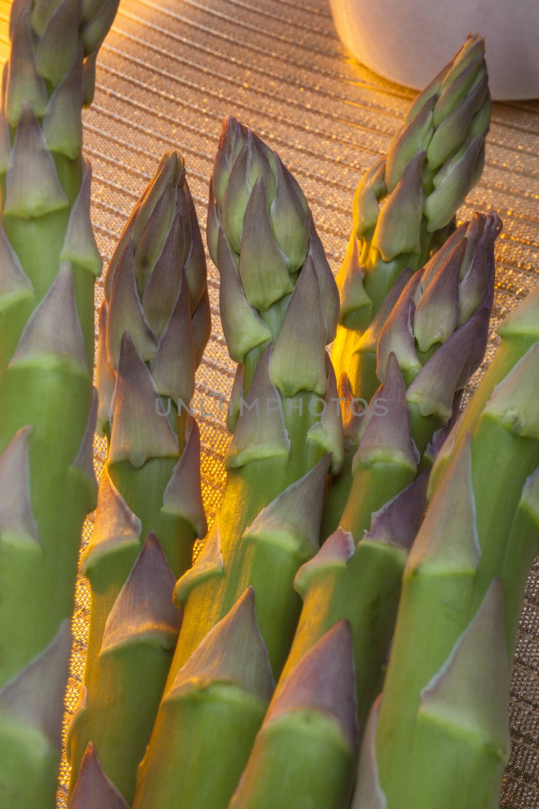 Asparagus - A tall plant of the lily family with fine feathery foliage, cultivated for its edible shoots.