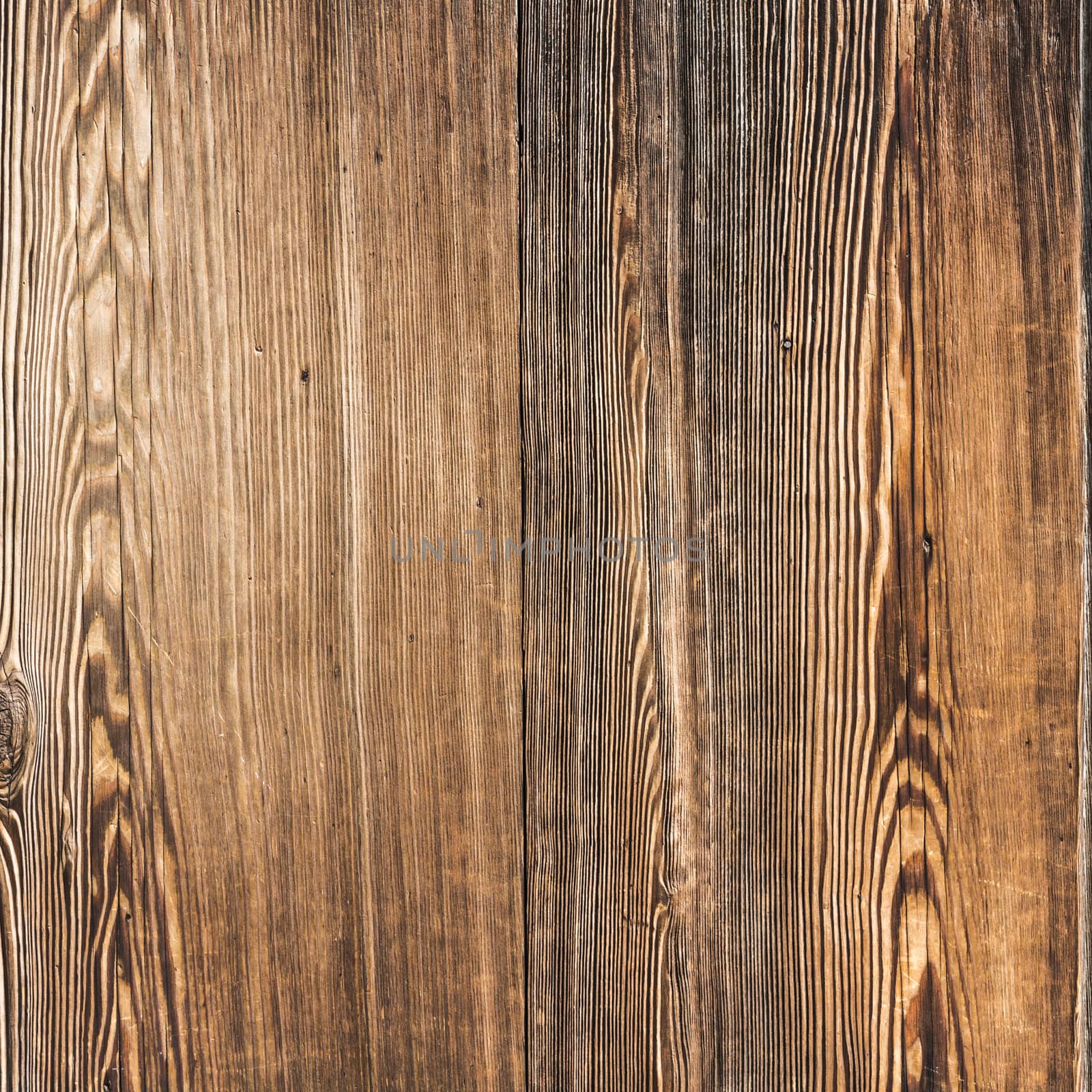 Wood Texture and background vintage style