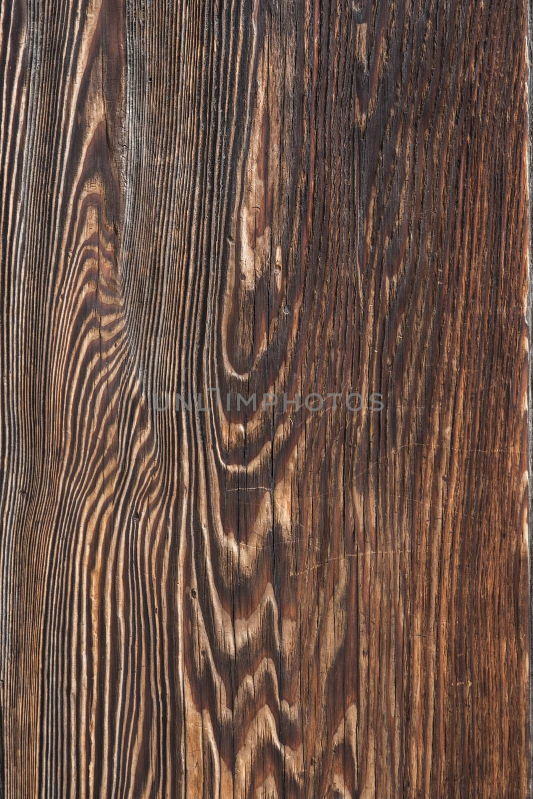 Wood Texture and background vintage style