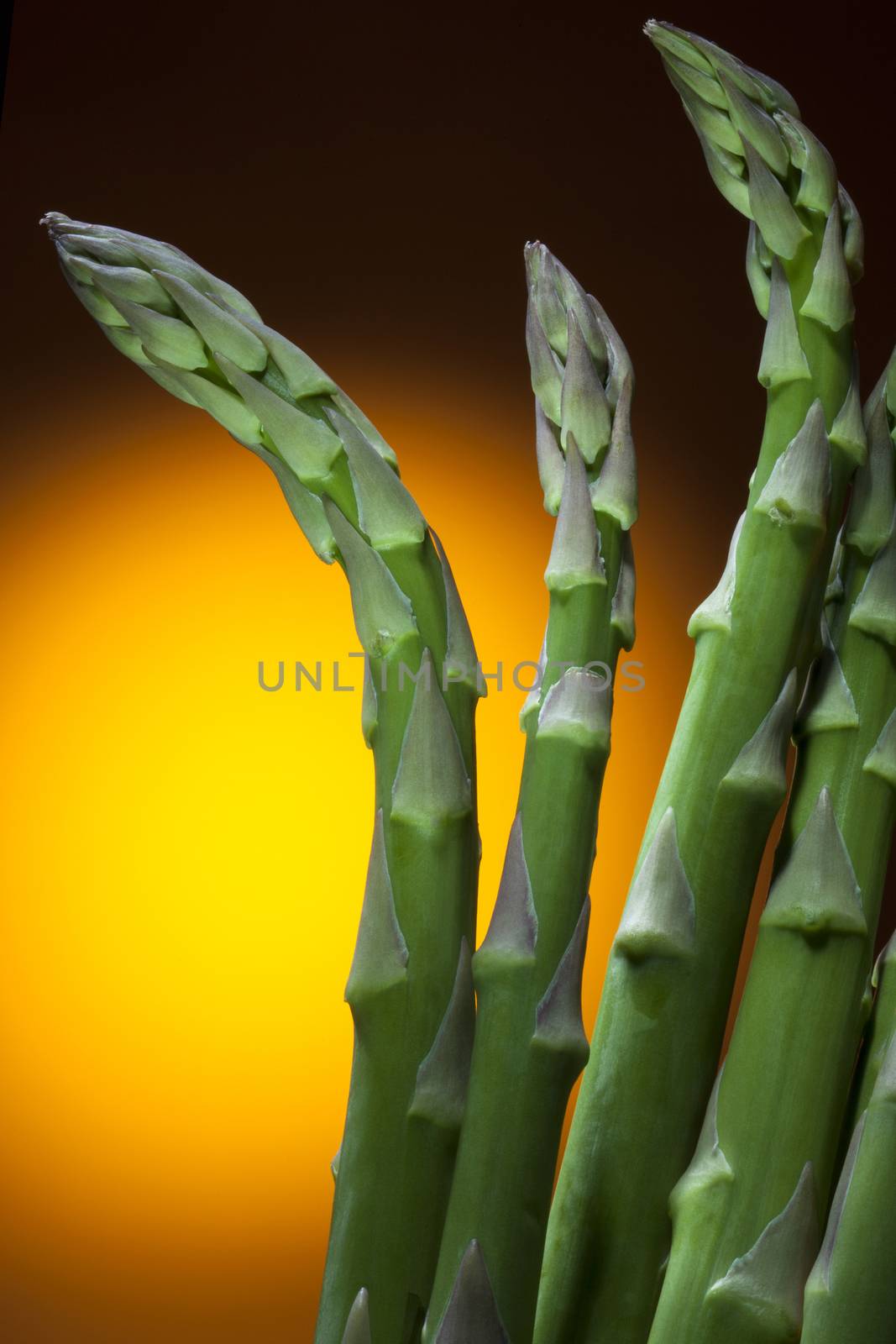 Asparagus by SteveAllenPhoto