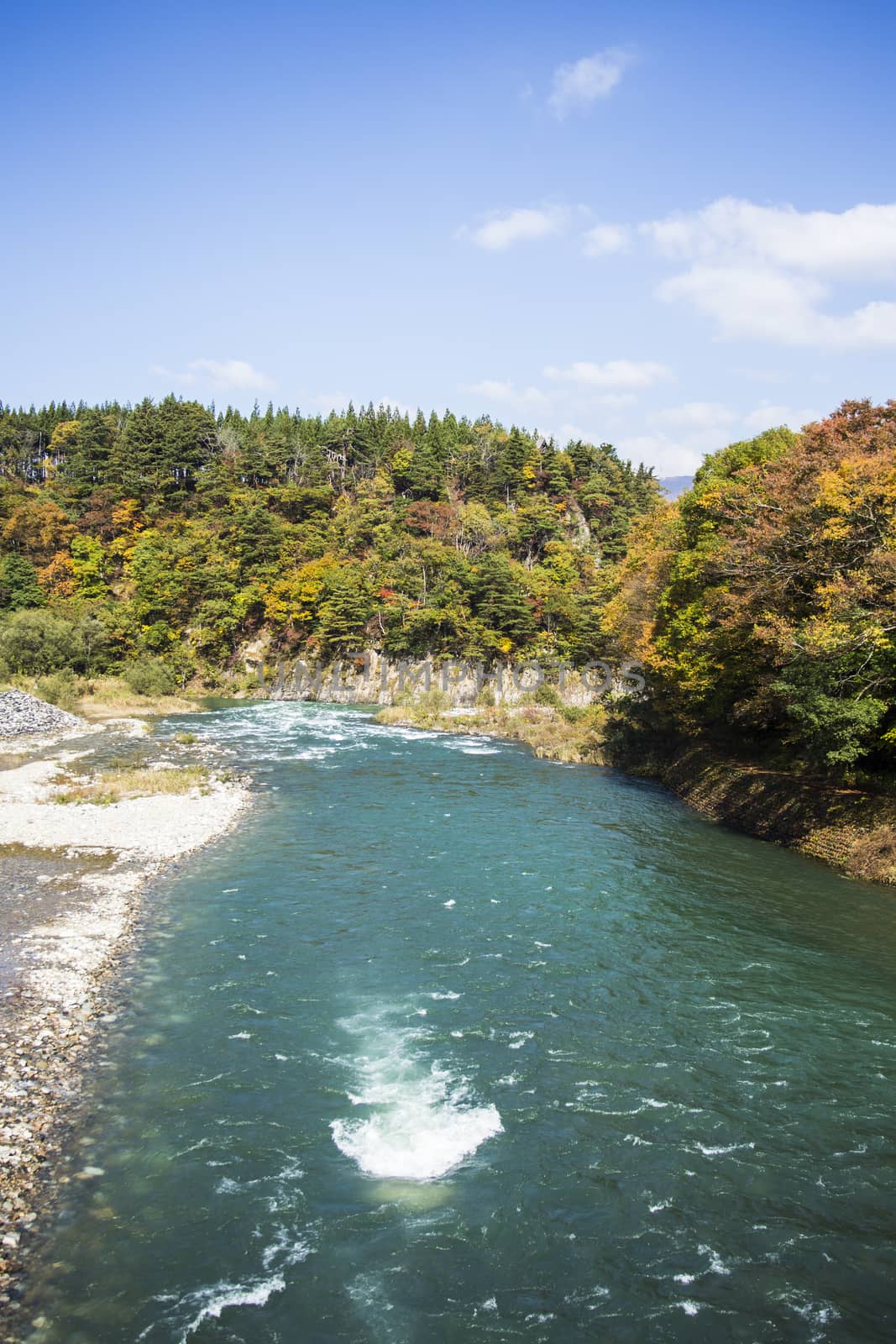 River front of shirakawa-go Japan