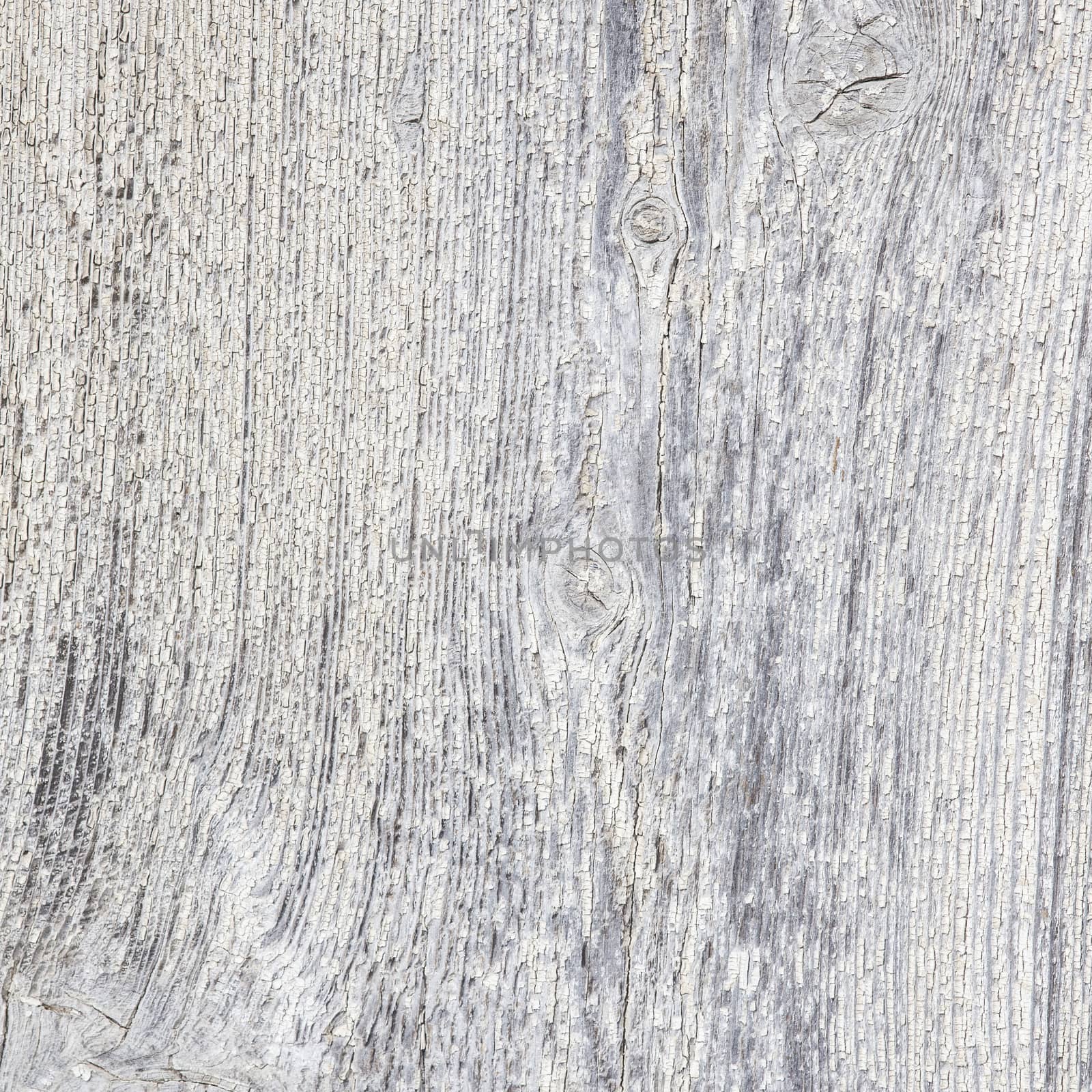 White wood texture background