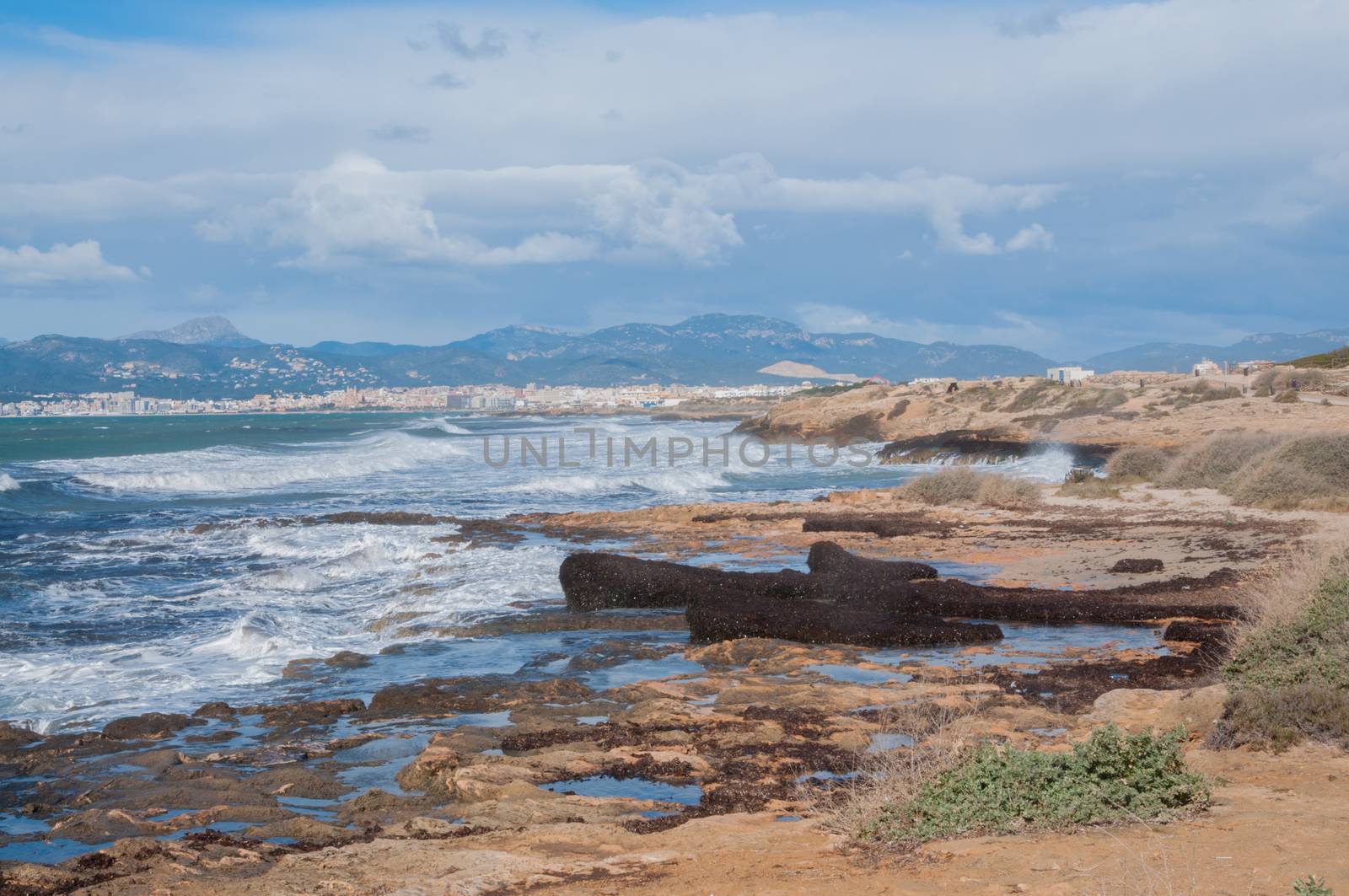 Palma bay windy coastal landscape in the winter. Majorca, Balearic islands, Spain.