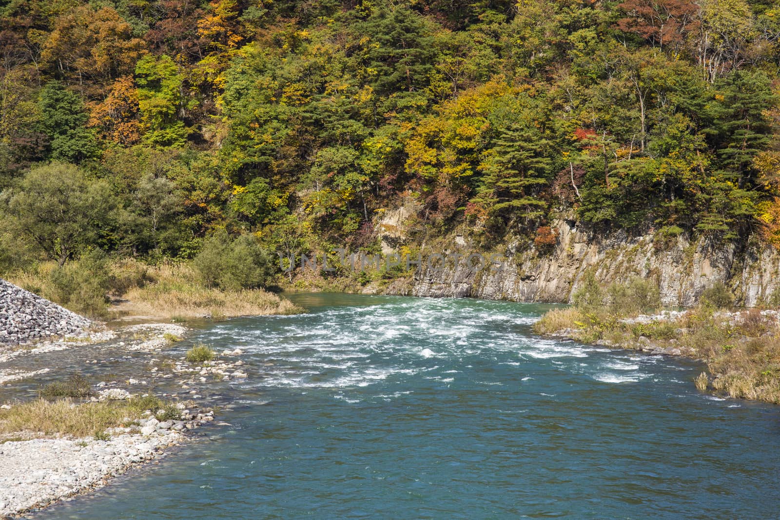 River front of shirakawa-go Japan