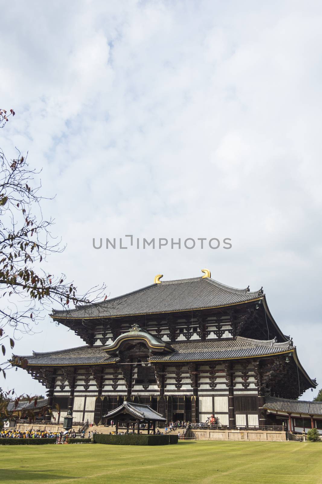 Todai-ji Temple. Nara. Japan