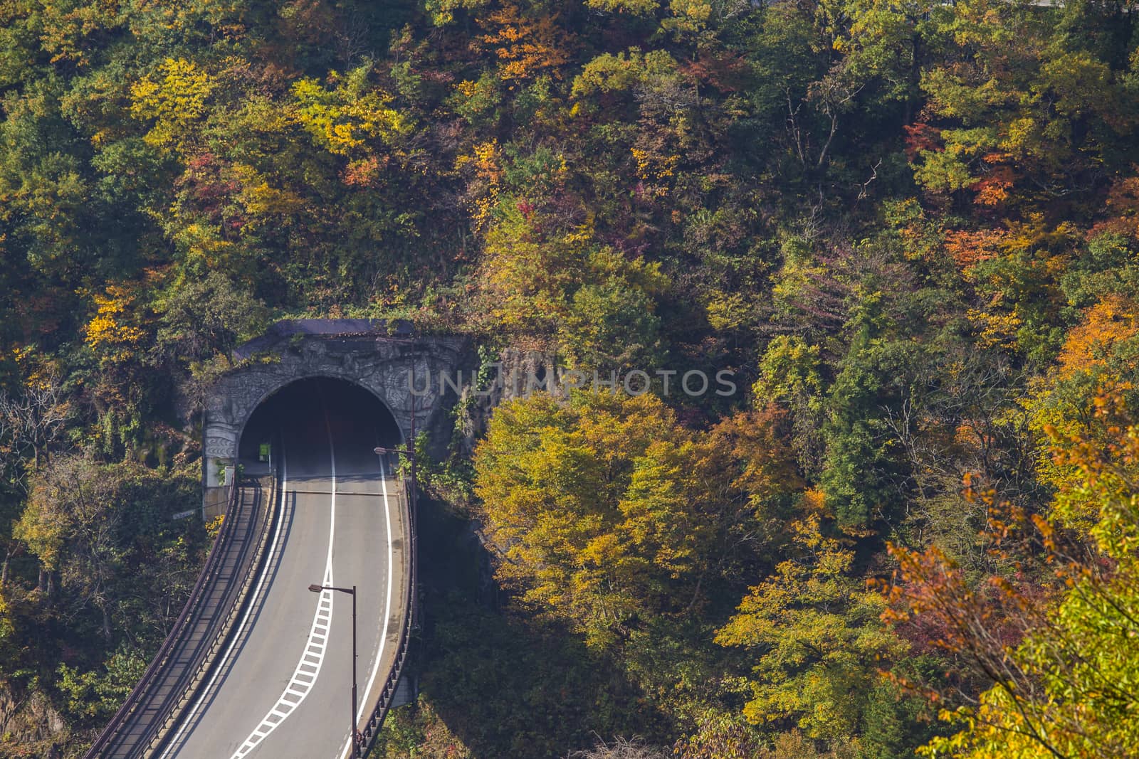 Tunnel road to Shirawaka-go. Japan