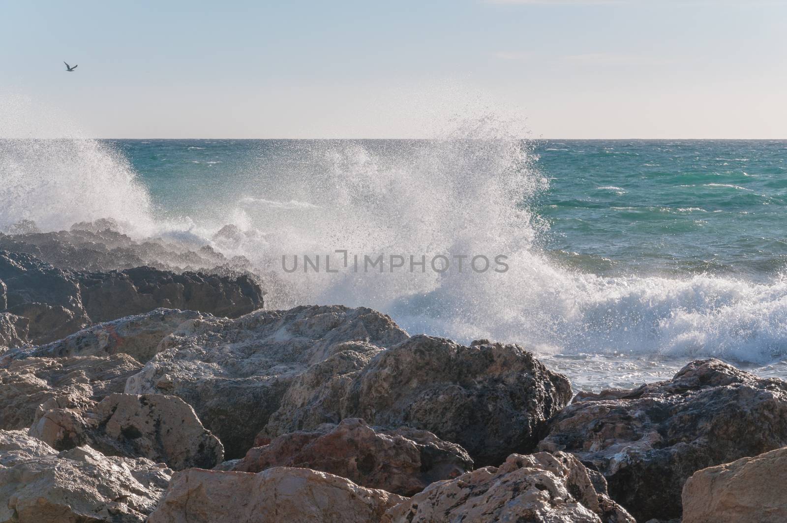 Crashing wave and bird. Wave crashing onto limestone rocks, birds flying to the left, Majorca, Balearic islands, Spain.