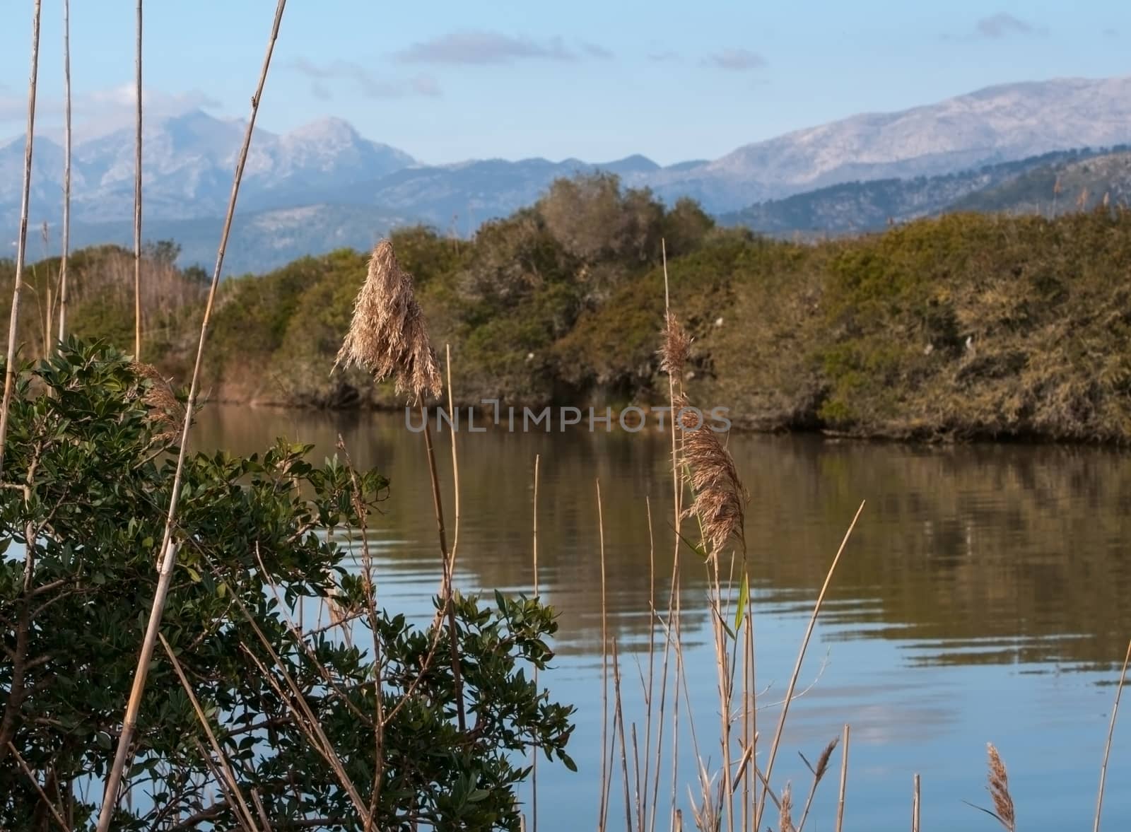 Albufeira water mirror for bird orientation by ArtesiaWells