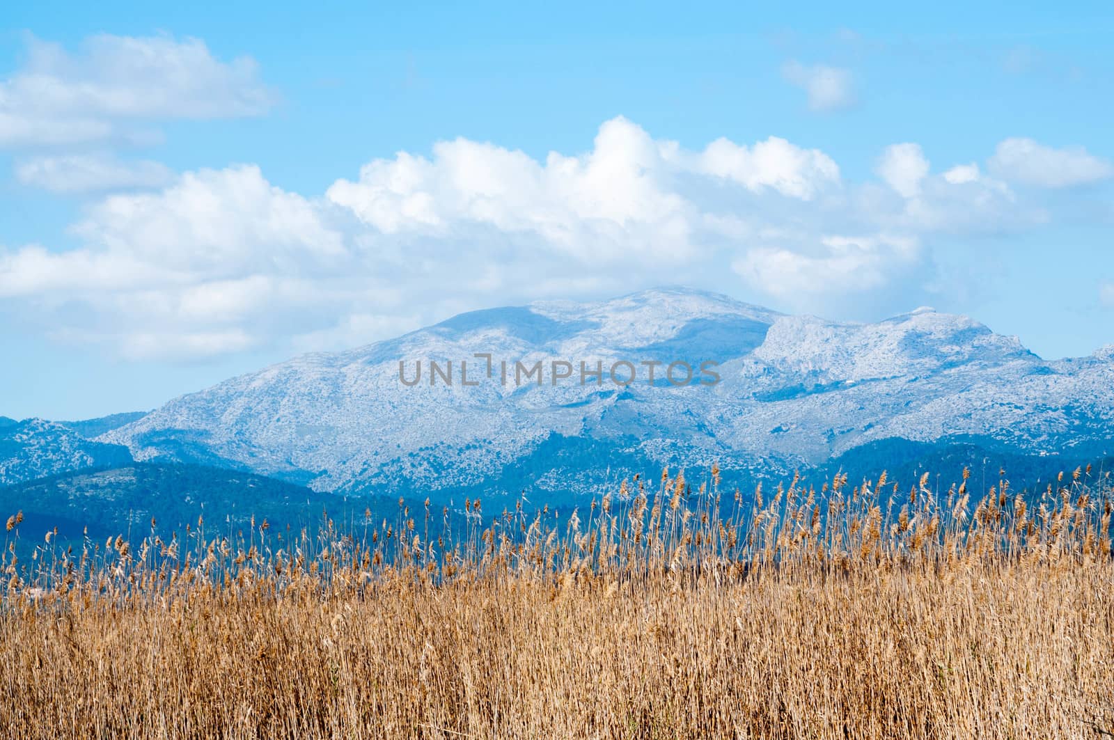 Tramuntana mountains with cloud, Majorca, Balearic islands, Spain.