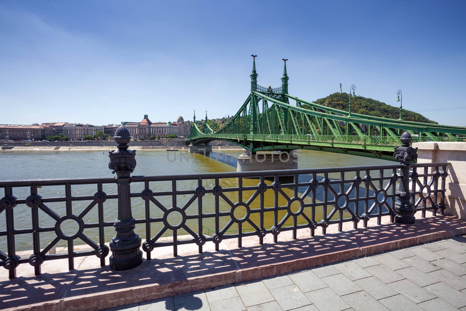 View of Liberty Bridge over Danube, Budapest, Hungary