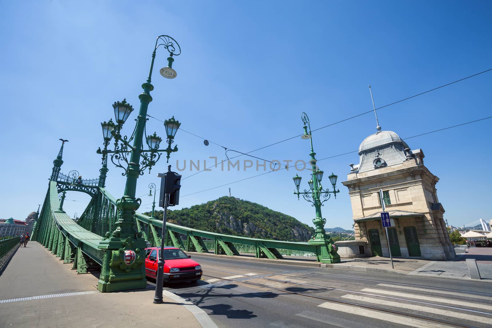 View of Liberty Bridge over Danube, Budapest, Hungary