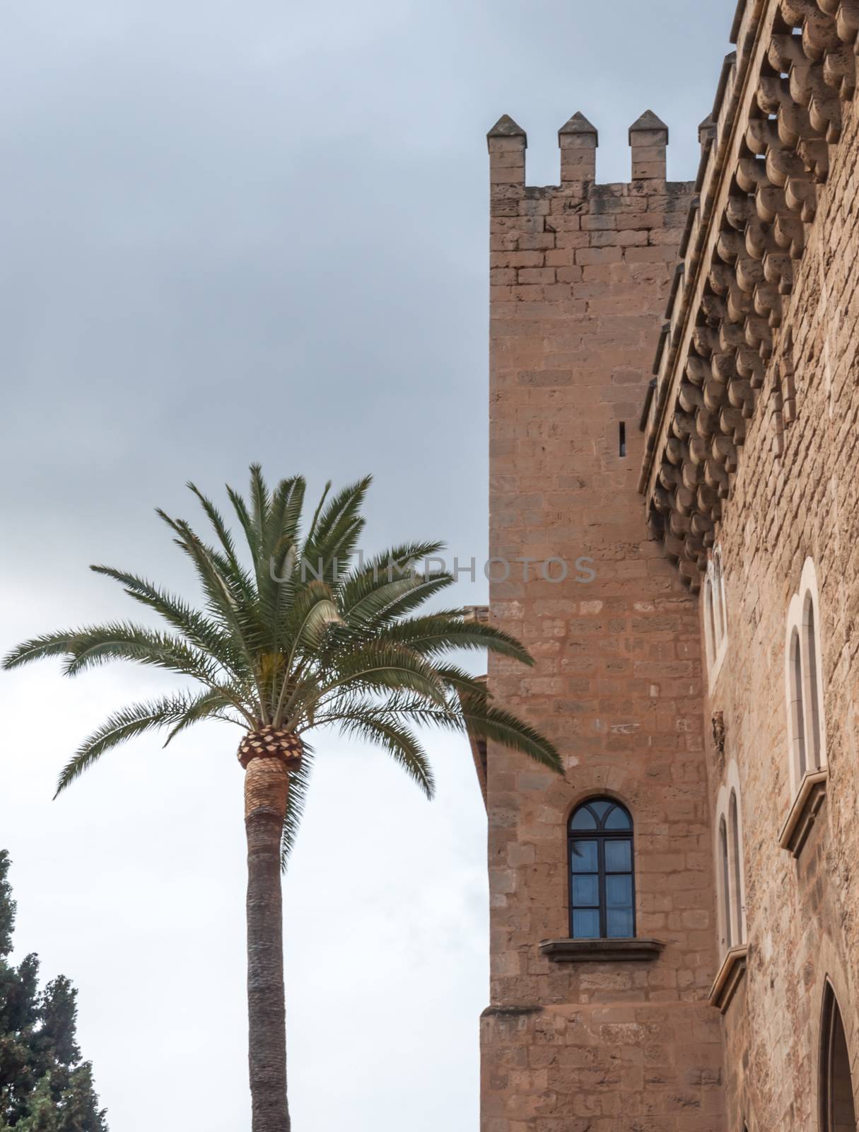Royal palace, Palma de Mallorca by ArtesiaWells