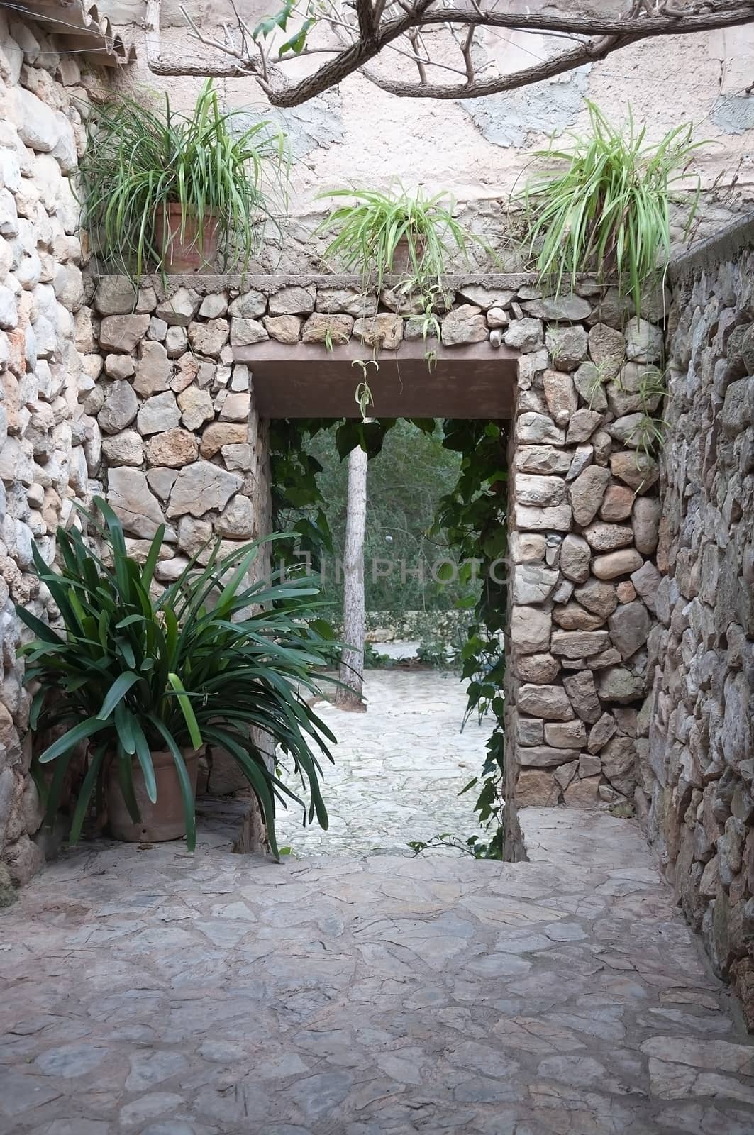Dry stone wall portal with plants, rural Majorca. by ArtesiaWells