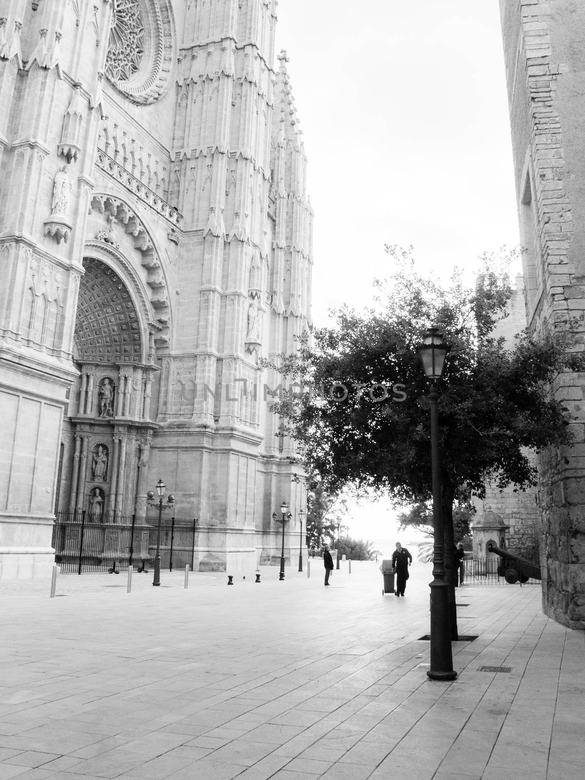 Sanitary worker outside Palma cathedral La Seu - black and white photo.