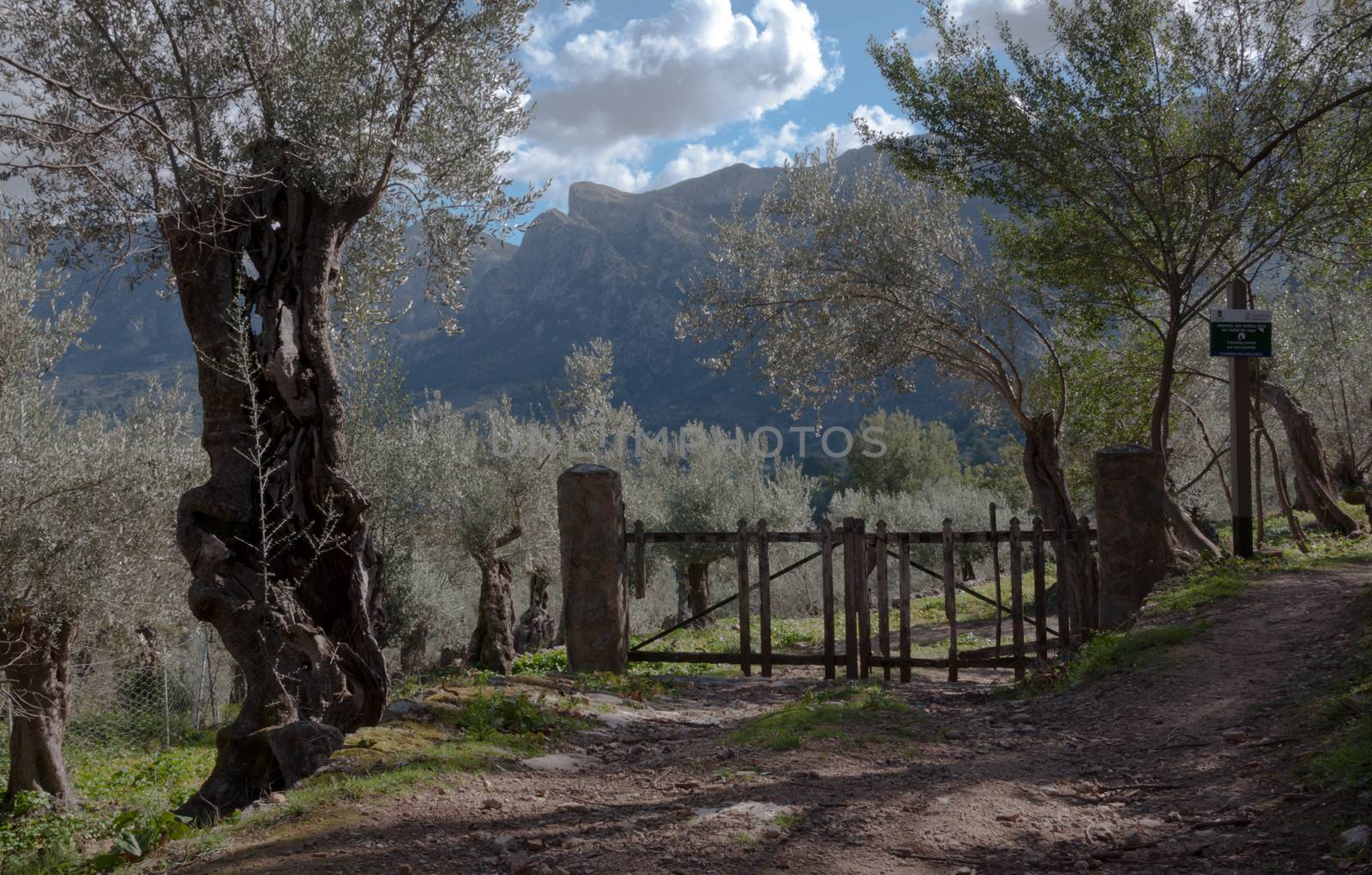 Mallorca landscape in the mountains above Soller. Mallorca, Balearic islands, Spain