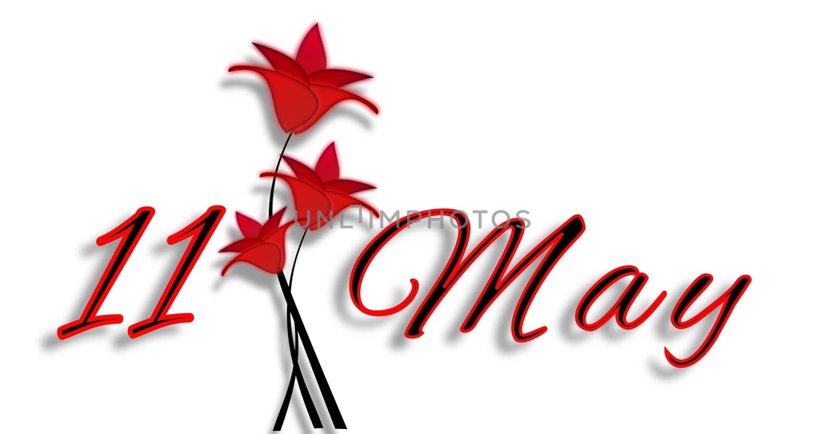 Mother's Day on May 11th with red flowers isolated on a white background
