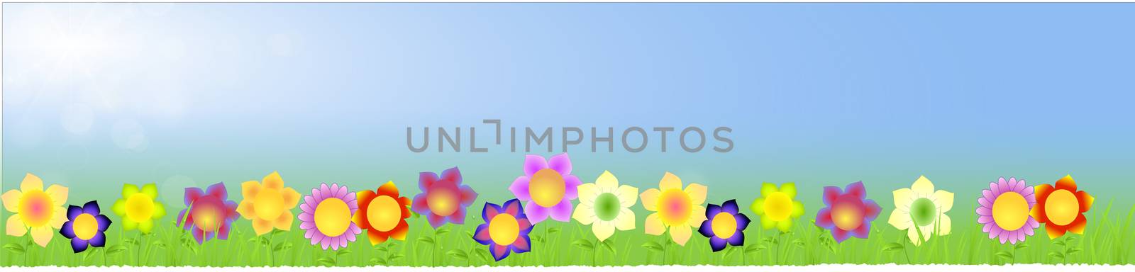 Banner with big flowers with space text within on the blue sunny background with grass,raindrops,leaves as spring landscape