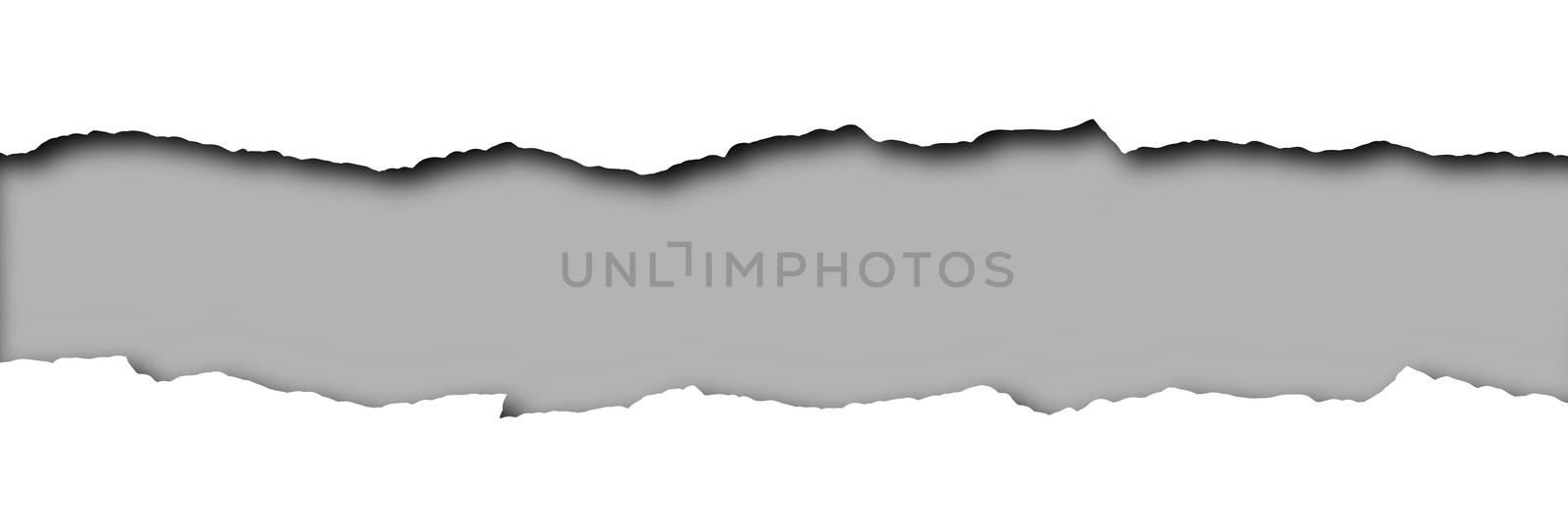 Torn paper with grey space for text isolated on a white background 