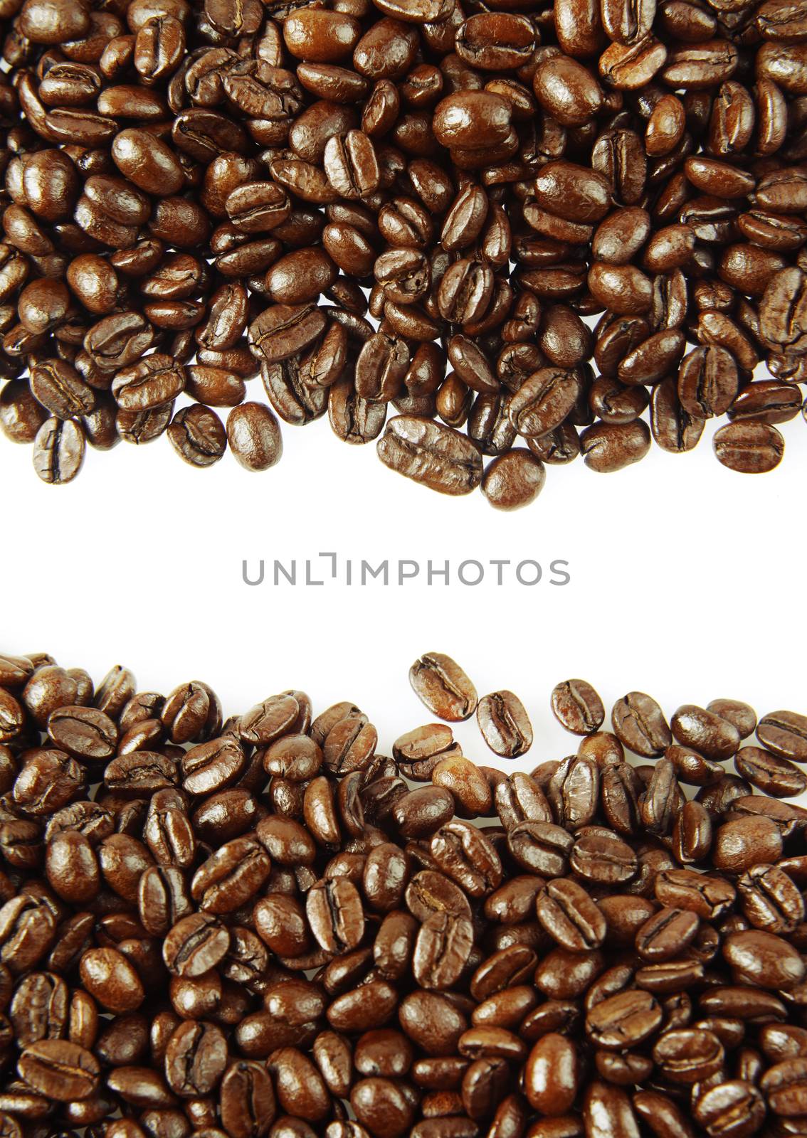 Closeup of coffee beans on plain background. Copy space