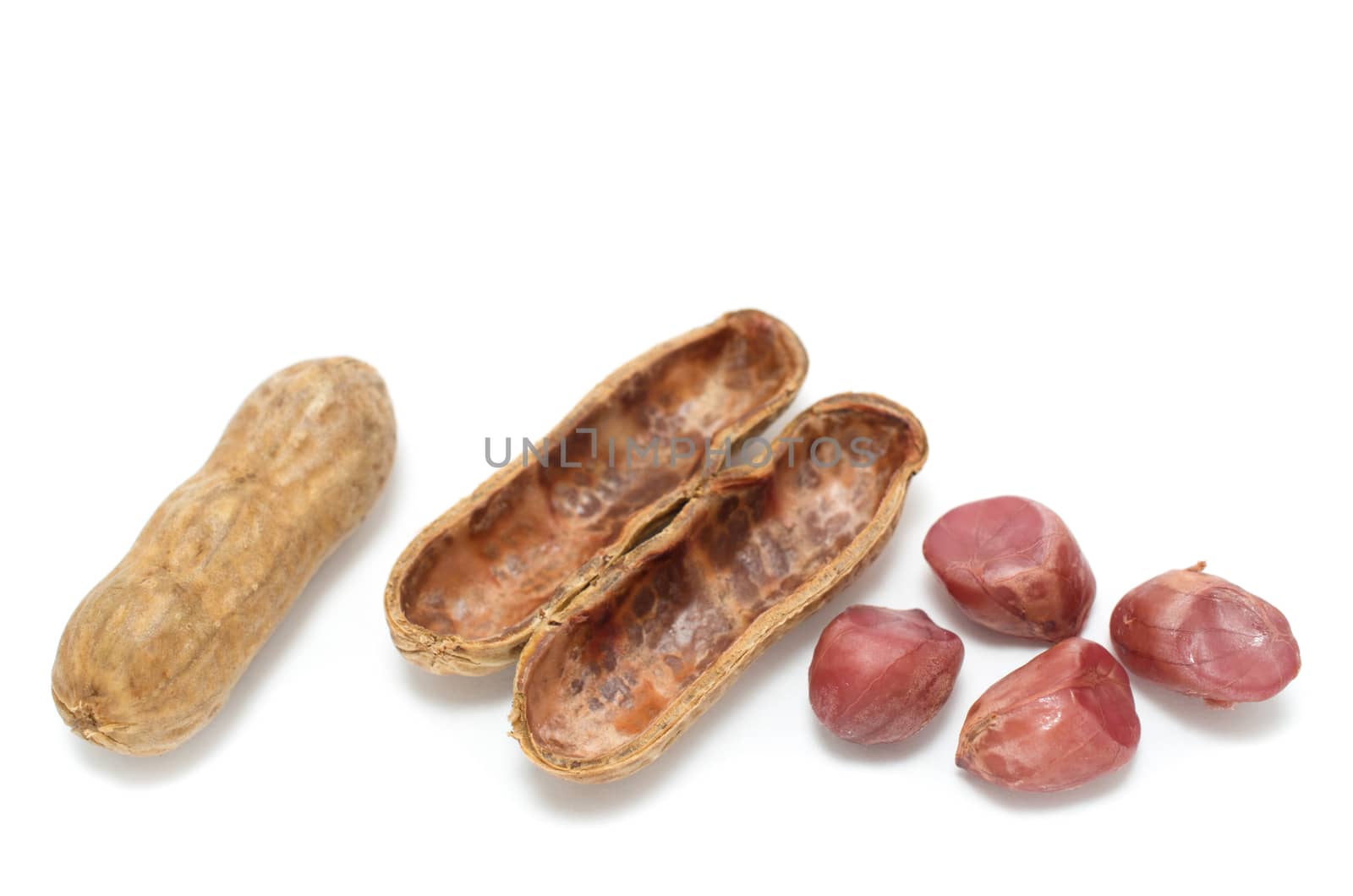 Boiled peanuts in shell on white background