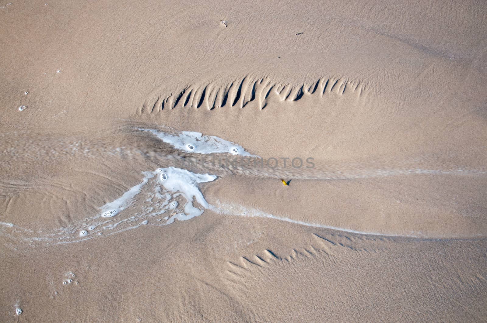 Feather shapes in wet sand and sea foam.