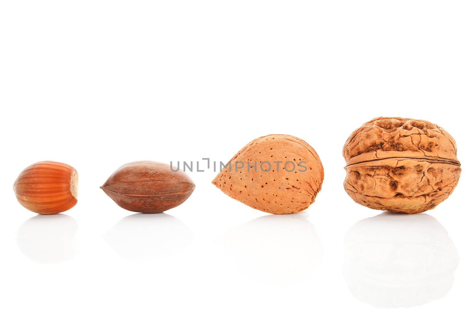 Walnut, hazelnut, almond and pecan nut isolated on white background. Nuts assortment.
