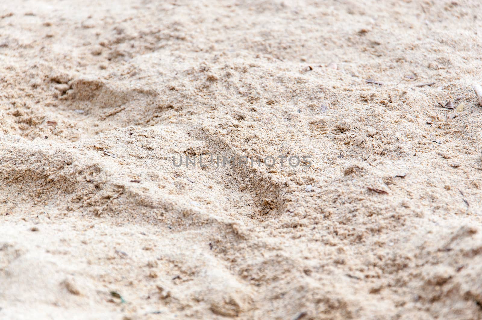 Raindrops in hot sand closeup. by ArtesiaWells