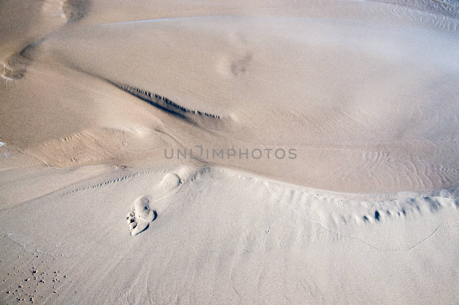 Foot print in two colored wet fine sand on a beach.