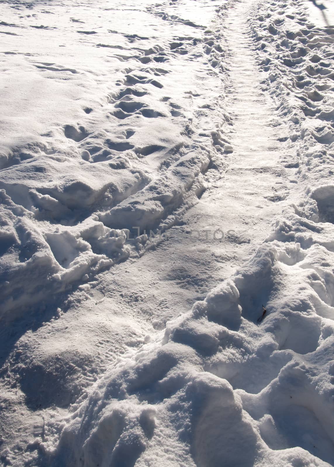 Sunny snowy winter path in an s-curve shape, vertical image.